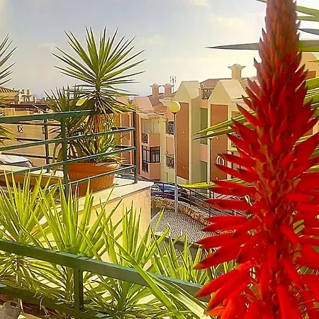 Oceanview Luxury Duplex With Pool & Gym Near Lisbon * セシンブラ