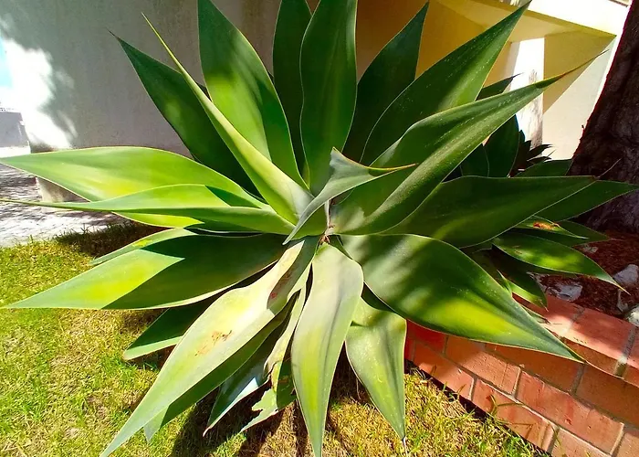 Lisbon South Bank Oceanview Lux Duplex Pool & Gym Σπίτι διακοπών