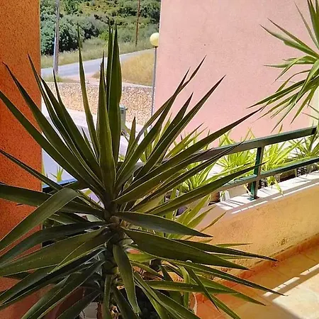 Oceanview Duplex Shared Pool & Hébergement de vacances