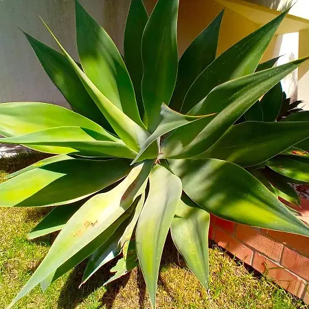 Lisbon South Bank Oceanview Lux Duplex Pool & Gym 別荘