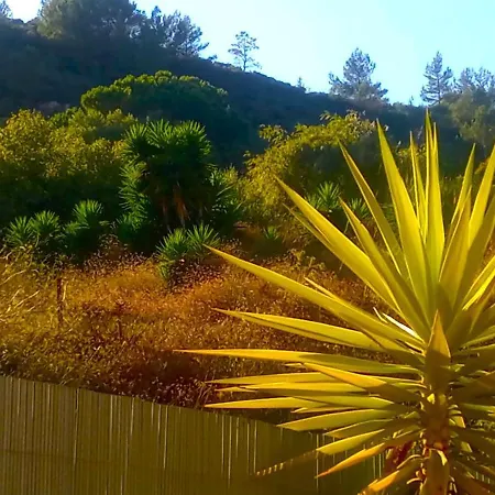 Σπίτι διακοπών Oceanview Luxury Duplex With Pool & Gym Near Lisbon
